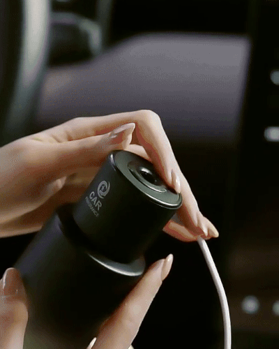 Car Fragrance Loose-Incense Deodorizer Diffuser