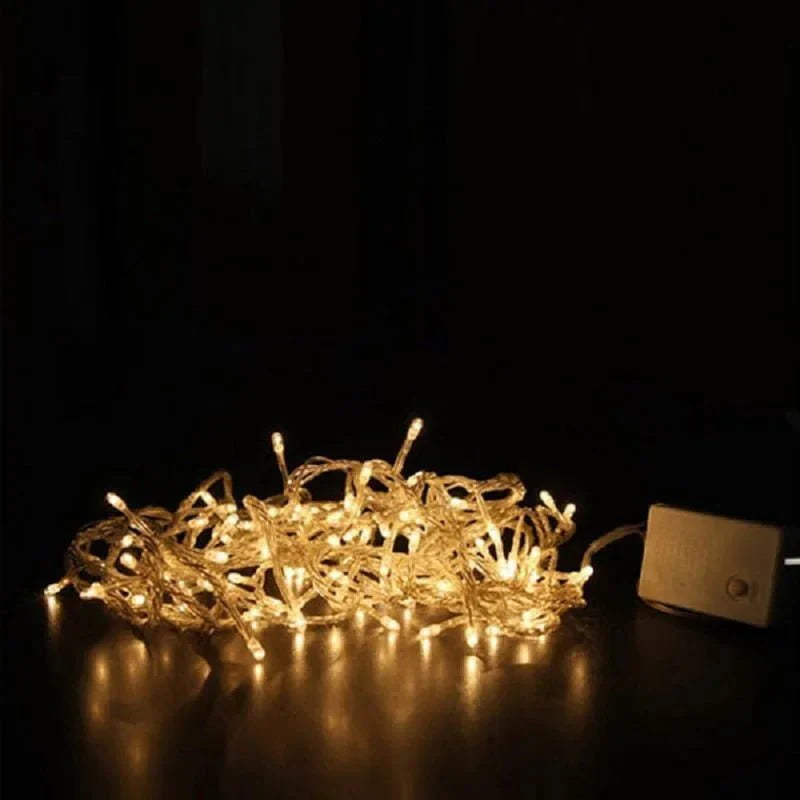 LED Decorative Lights